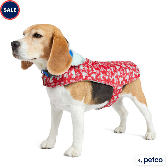 Petco dog sweaters and coats store