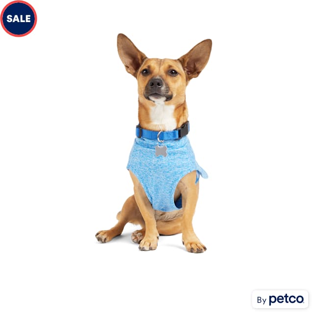 YOULY Blue Underlay for Dogs X Small Petco