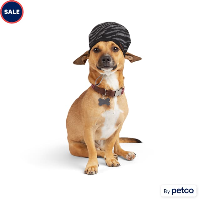 Dog hats petco clearance