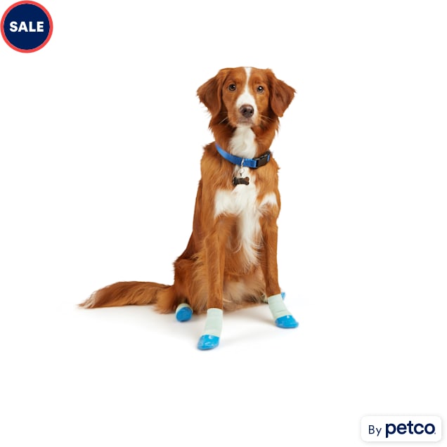 Dog booties store petco