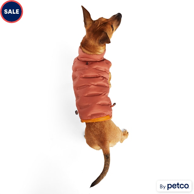 Reddy dog vest shop