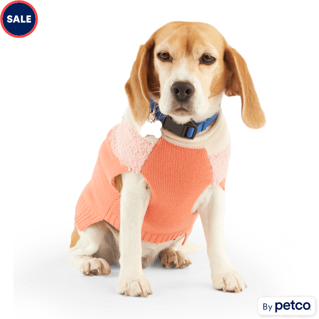 Small dog best sale sweaters sale
