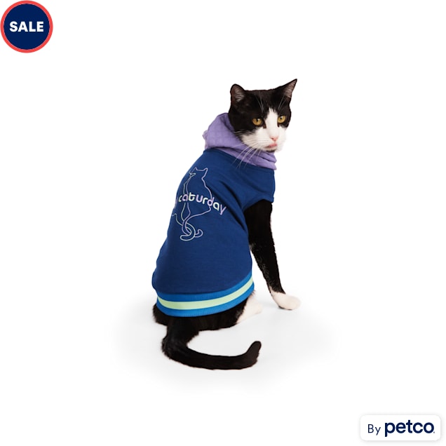 Cat cuddle hoodie 2025