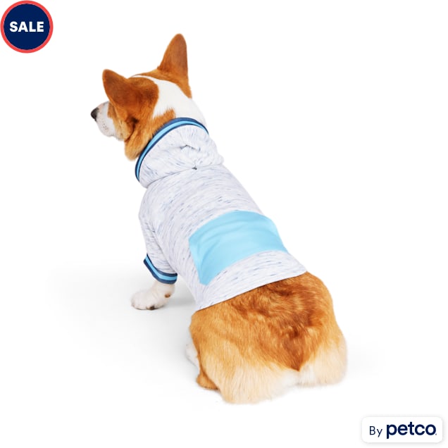 Sky Blue Dog Sweater