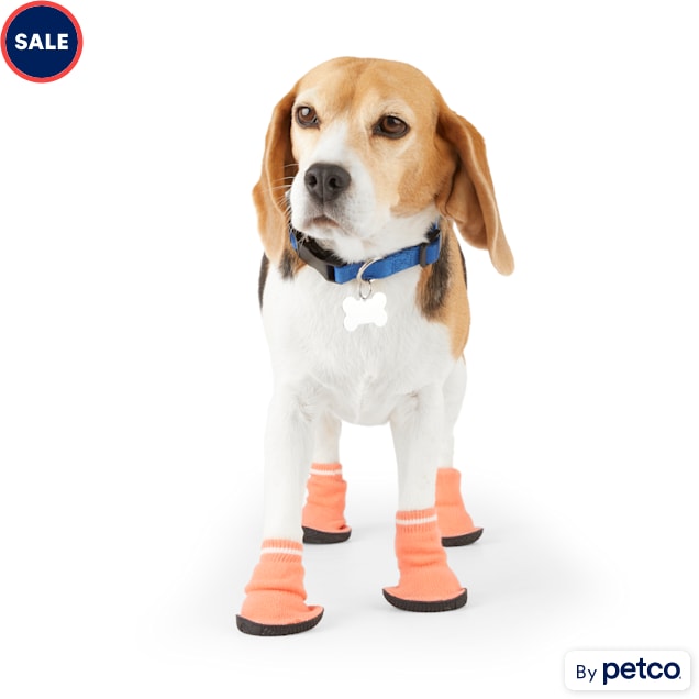 Cat booties sale petco