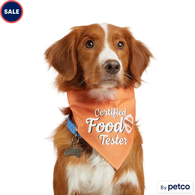 Petco dog shop scarf