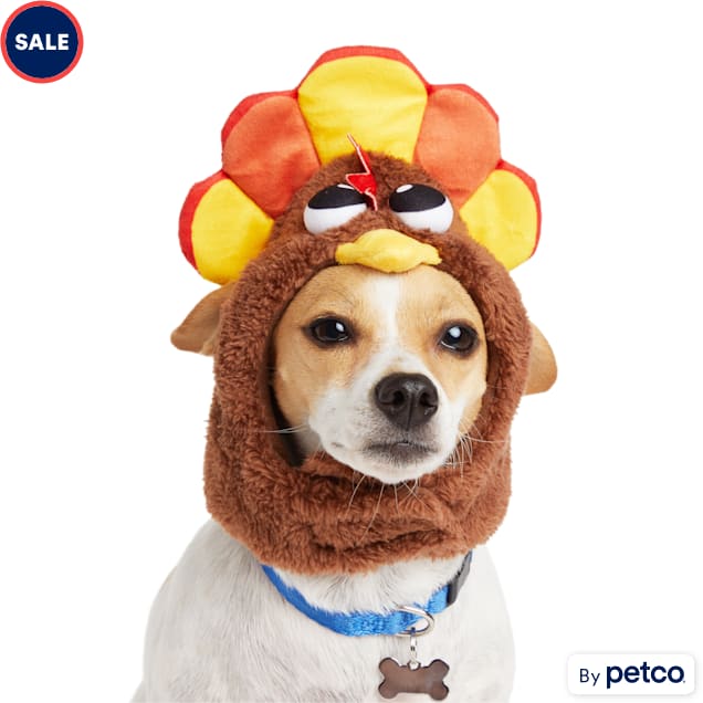 Thanksgiving dog clothes hotsell