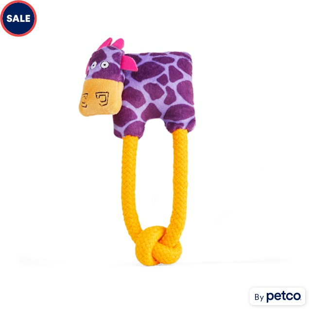Petco clearance rope toy