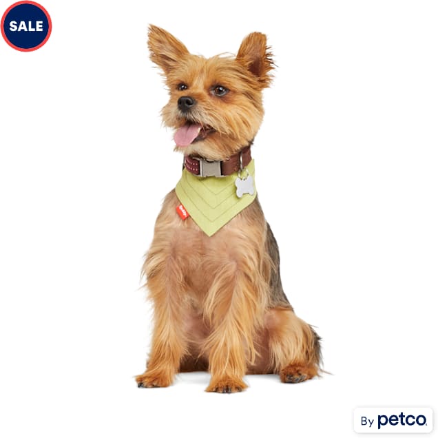 Petco clearance dog bandana