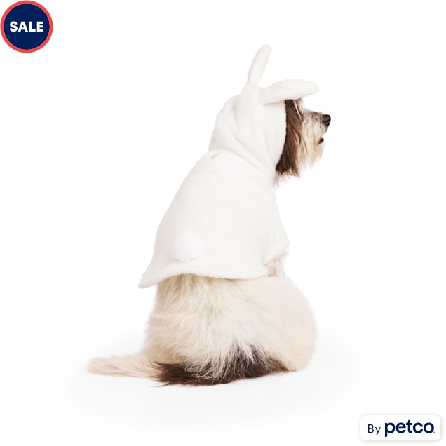 Bunny clothes petco clearance