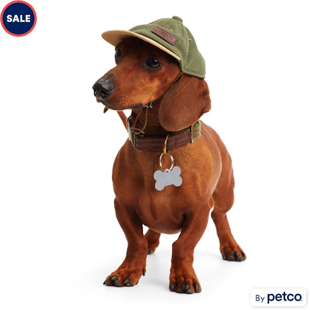 Reddy Olive and Tan Baseball Dog Hat Large X Large Petco