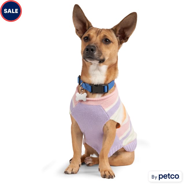 YOULY Purple Stripe Dog Sweater XX Small