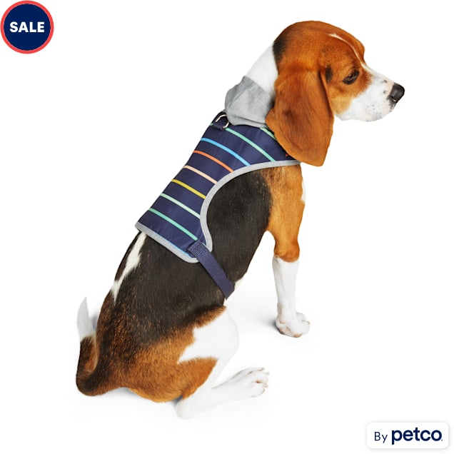 Funny muzzle petco store