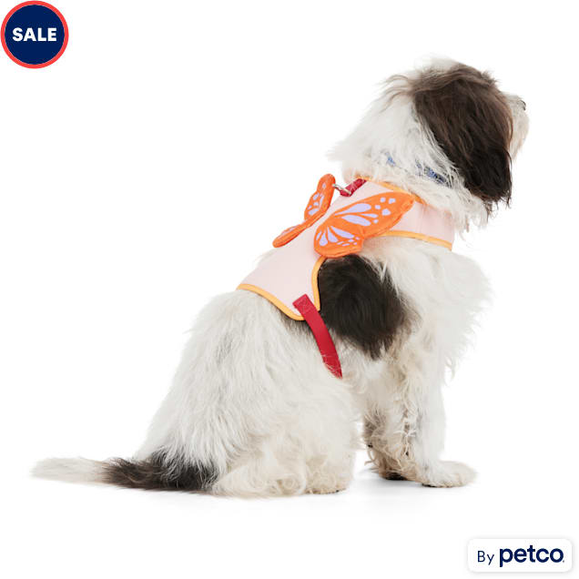 Dog harness for sales sale near me