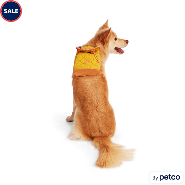 Petco dogs for discount sale near me