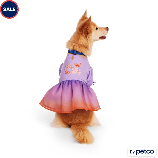 Dog dress for sale best sale