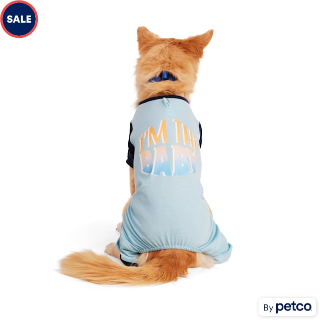 Dog onesies petco best sale