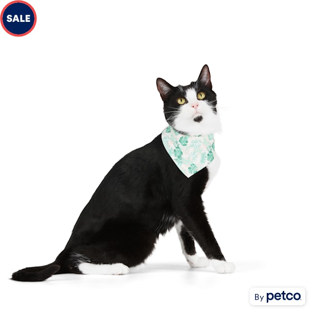 YOULY Relax Reversible Bandana for Cats X Small Petco