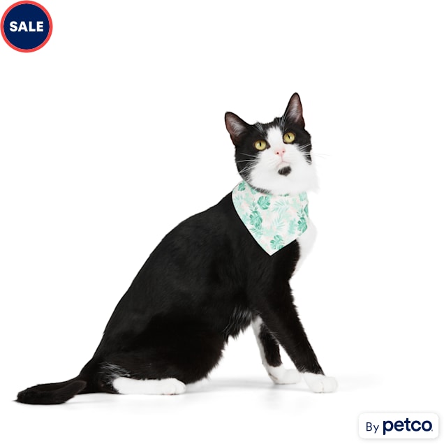 10 Purrfectly Stylish and Practical Shirts for Cats to Add to Your Cart  Right Now