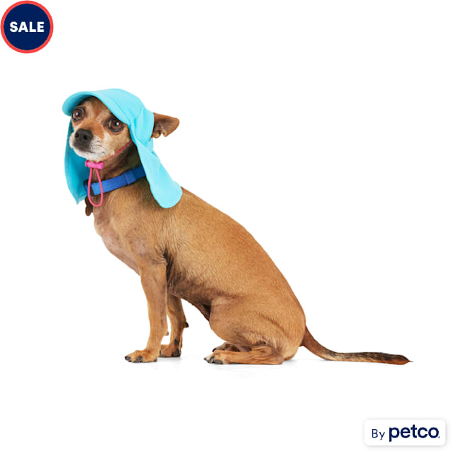 Dog visors clearance