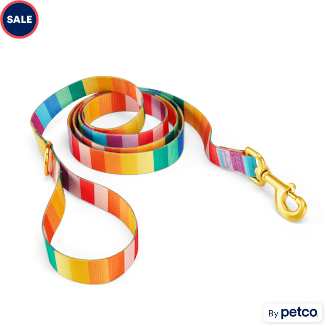 YOULY Rainbow Stripe Dog Leash, 6-ft long, 1-in wide - Carousel image #1