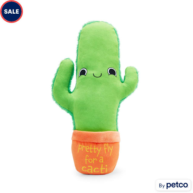 Petco Cactus Dog Toy, Medium | Petco