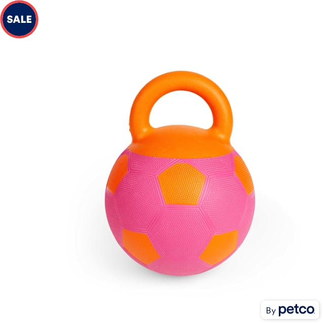 Dog ball with handle store
