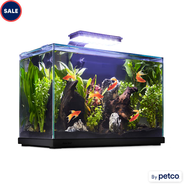 Imagitarium Glass Versa Aquarium 9.5 Gallons Petco