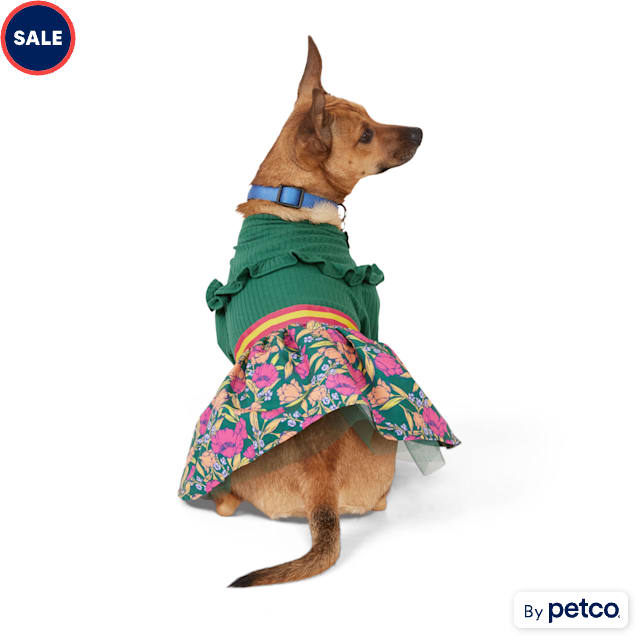 YOULY Ruffle Shirt Dog Dress XX Small Green