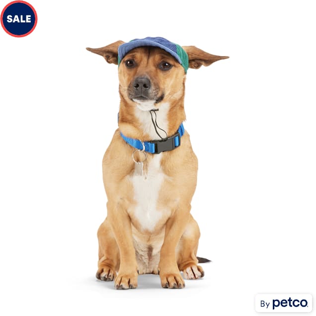 Blue deals dog hat