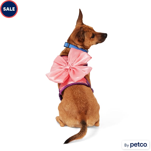 Petco dog lead shop
