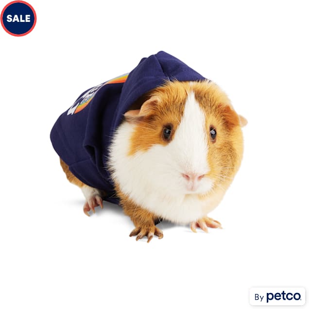 YOULY Be You Small Animal Dog Hoodie Blue Petco