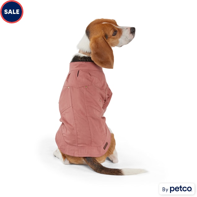 Reddy dog raincoat 2025