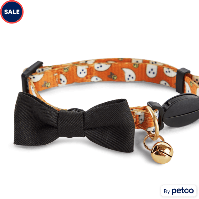 Cat shock collar petco sales