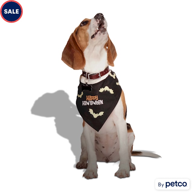 Petco dog bandana 2025