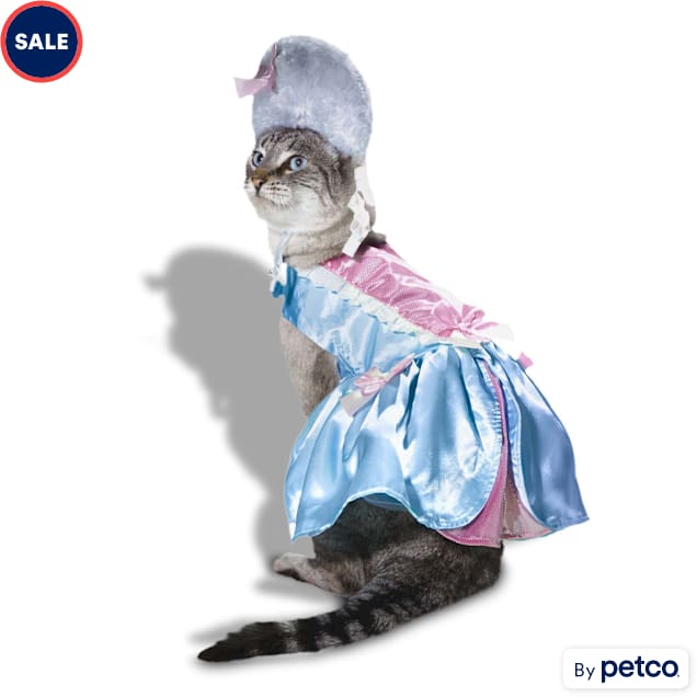 Fancy dress for cats best sale