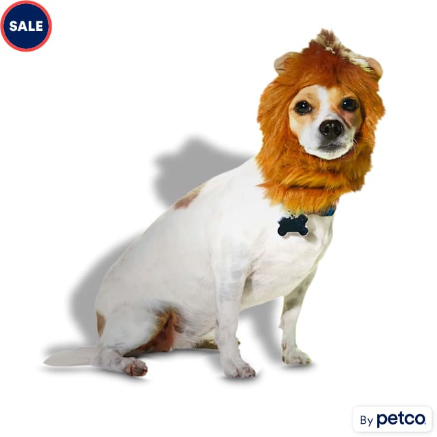 Petco dogs for sale outlet