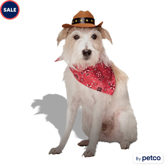 Petco dogs for sale top