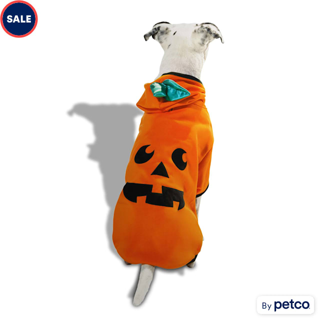 Bootique Pumpkin Hoodie for Dogs Cats XX Small Petco