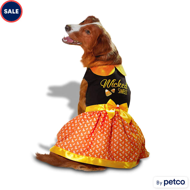 Petco puppy clothes top