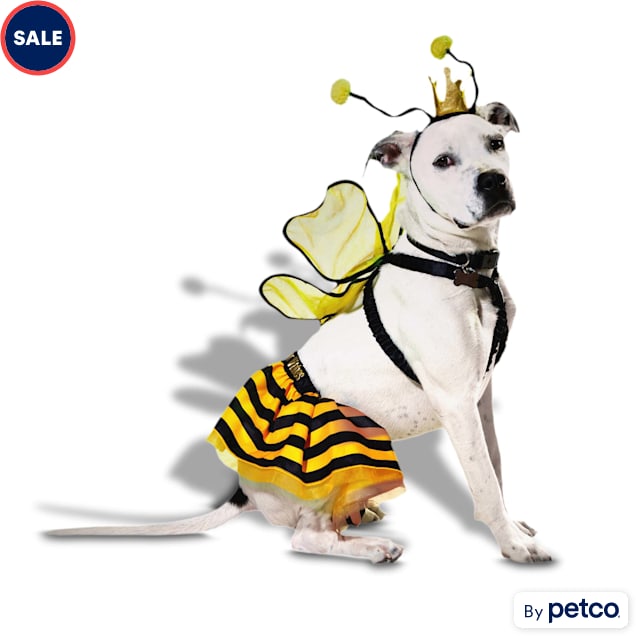 Bumble bee dog costume large cheap