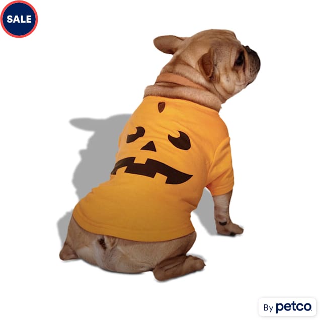 Dog pumpkin shirt top