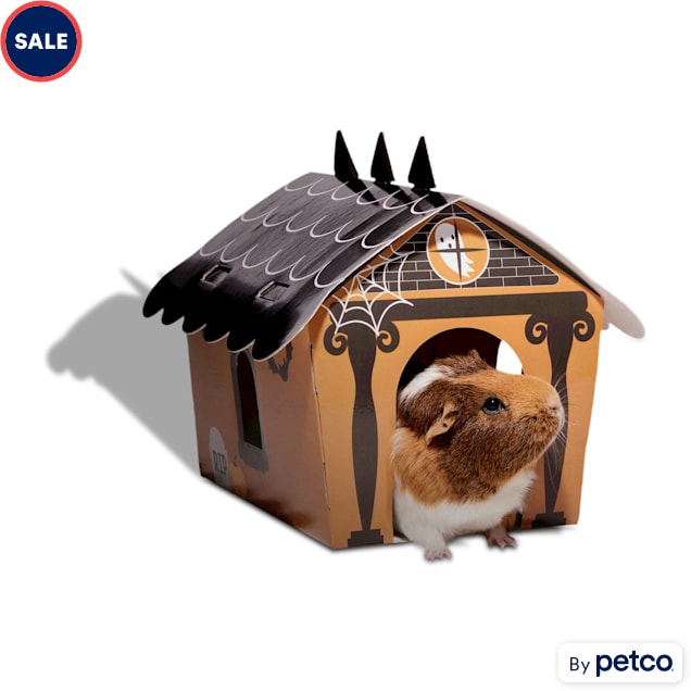 Guinea pig ball petco clearance