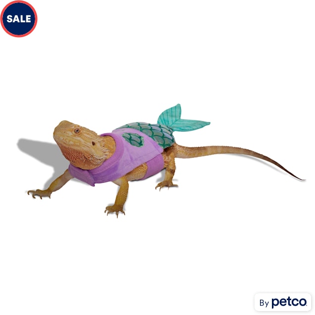 Leash for bearded dragon petsmart cheap