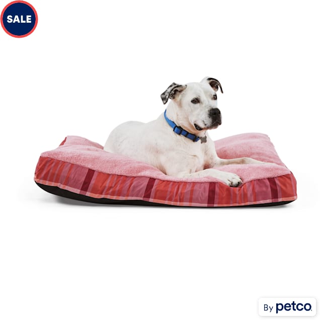 Big lots dog beds sale sales