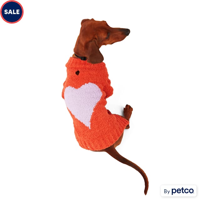 Petco small dog sweaters outlet