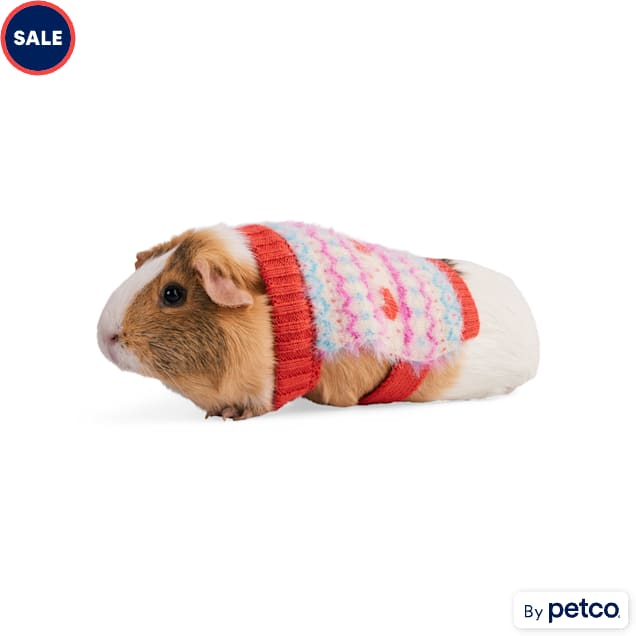 Guinea pig cheap leash petco