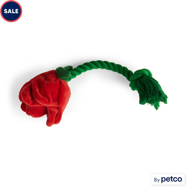 YOULY Valentine's Day Rose Rope Dog Toy, Large - Carousel image #1