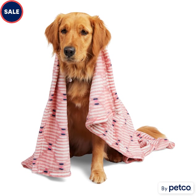 Dog discount nuzzling blanket