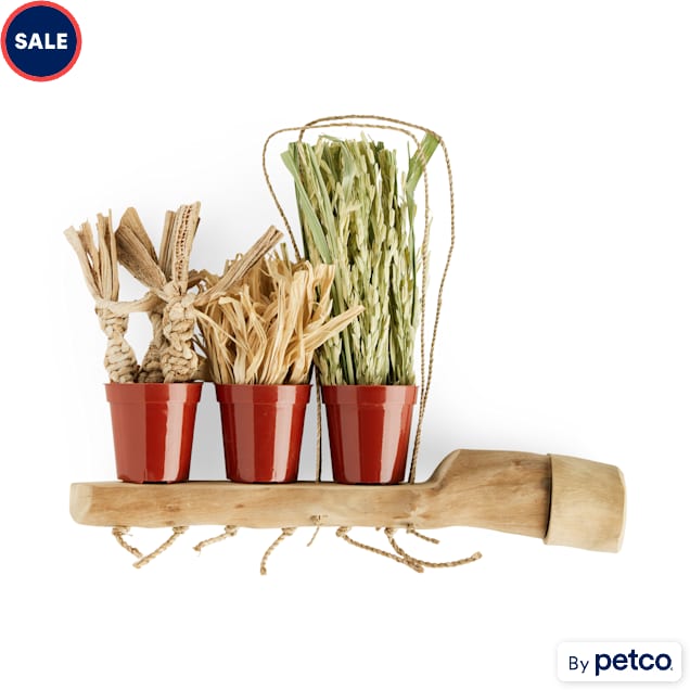 You & Me Plant Trio Toy, Medium - Carousel image #1